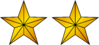 Security Director Rank Insignia.png