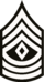 First Sergeant.png