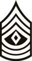 First Sergeant.png