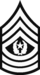 Command Sergeant Major.png