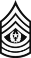 Command Sergeant Major.png